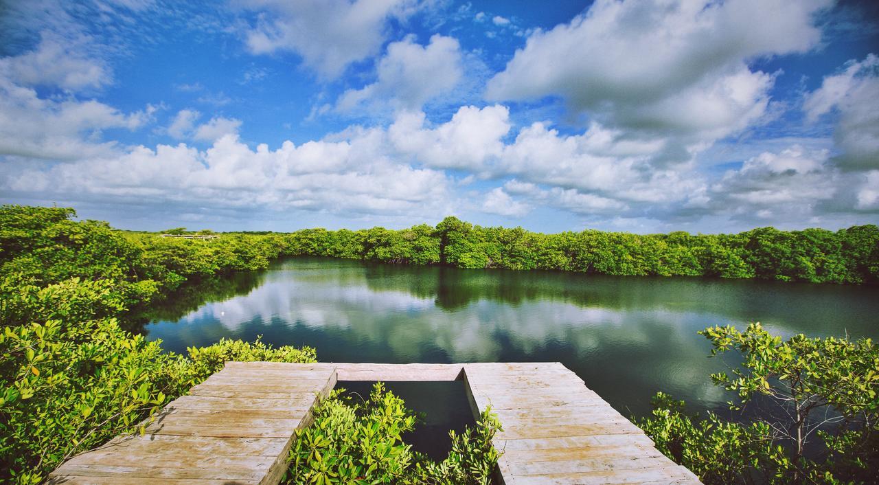 Nativus Glamping & Cenote Tulum Hotel Luaran gambar